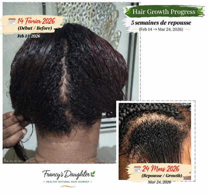Francy’s Daughter 90-Day Hair Transition Kit
