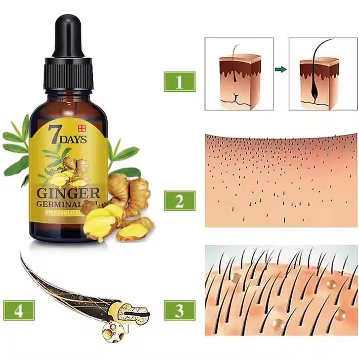 Ginger oil