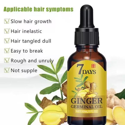 Ginger oil